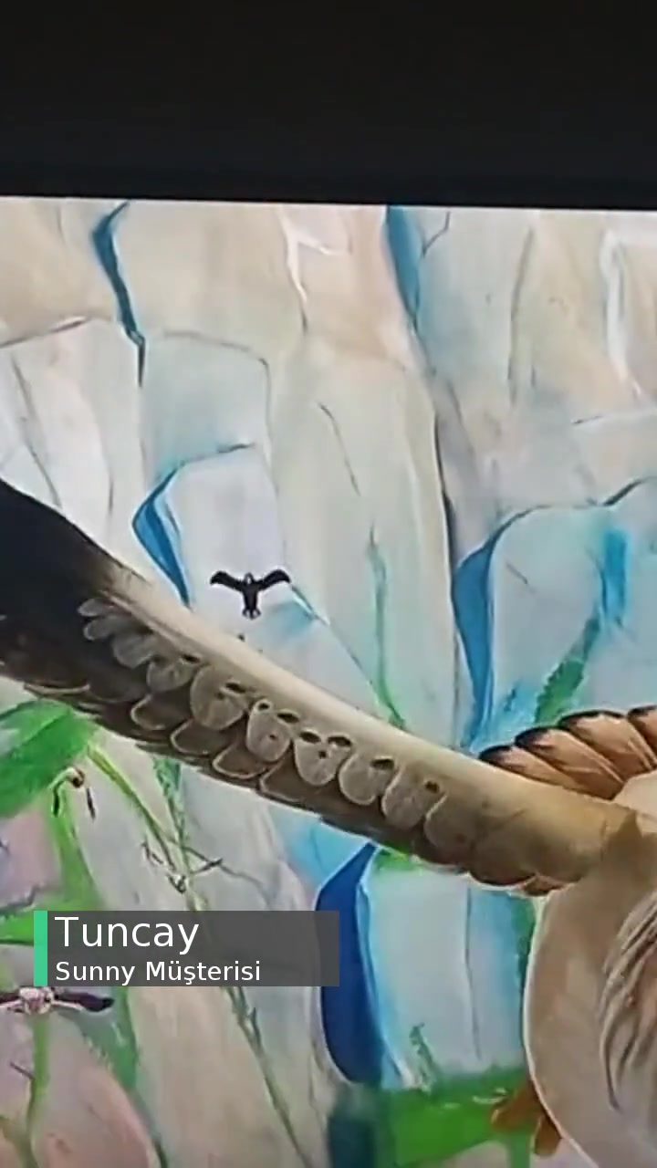 Sunny Webos Marka Televizyon Sıkıntısı! videonun kapak resmi