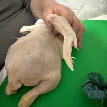 Uzman Kasap’ta Tavukta Tüyler Temizlenmemiş Hijyen Şoku