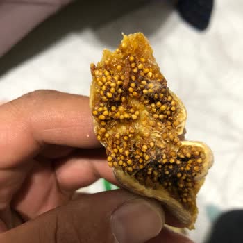 Koop Market Kuru İncirler Hep Kurtlu Çıktı