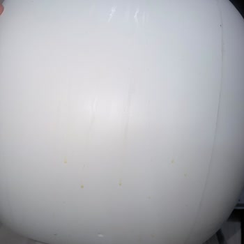 Yan Tarafından Sızdıran Kedi Tuvaleti, Şiddetli Koku Ve Parke Hasarı