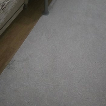 İnci Halı Yıkama’da Kalitesiz Hizmet ve 2.300 TL Ücret İadesi Talebi