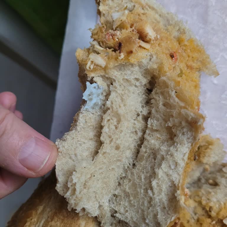 Etimesgut Halk Ekmek’te Yabancı Cisim Bulunması Sağlık Endişesi Yarattı