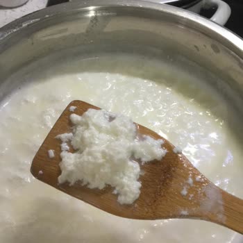 Gürsüt Gıda Jersey Süt Kesildi