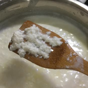 Gürsüt Gıda Jersey Süt Kesildi