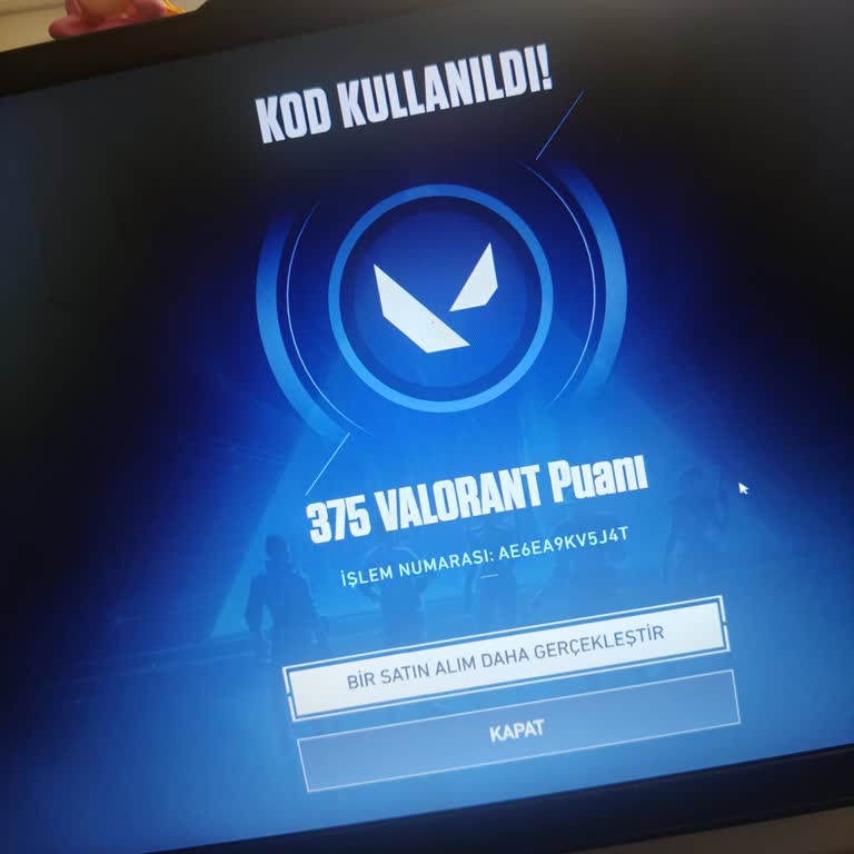 Hesapmerkezim.com’dan 1480 TL Ödemeli VP Kodu Gönderimi Ve İadesi İçin Acil Talep