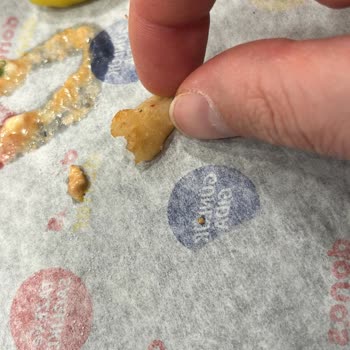 Sağlık Riski Taşıyan Donut İşletmesi Denetim Talebi