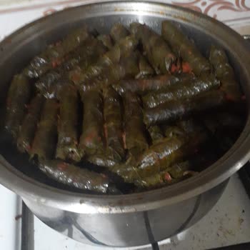 Kalitesiz Salamura Yaprakları Ve 1100 TL İade Talebi