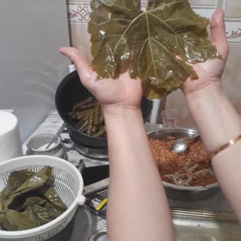 Kalitesiz Salamura Yaprakları Ve 1100 TL İade Talebi