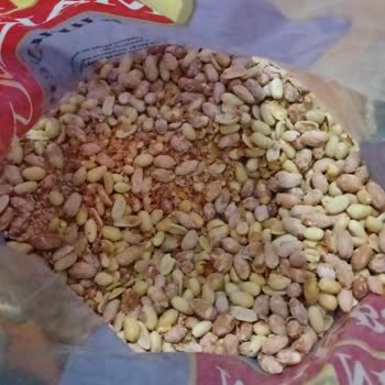 Açık Poşetler, Tozlu Ve Çiğ Fıstık, Şikayetime Cevap Gelmemesi