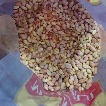 Açık Poşetler, Tozlu Ve Çiğ Fıstık, Şikayetime Cevap Gelmemesi