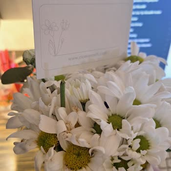 Sipariş Edilen Çiçek Görsele Uymuyor Ve Çürük Teslim Edildi