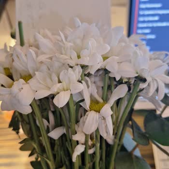 Sipariş Edilen Çiçek Görsele Uymuyor Ve Çürük Teslim Edildi