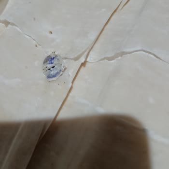 Mühür Markalı Yufkada Plastik Parça Çıktı, Ürün Ziyan Oldu