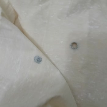 Mühür Yufkada Küflü Ürün İade Ve Kalite Kontrol Talebi