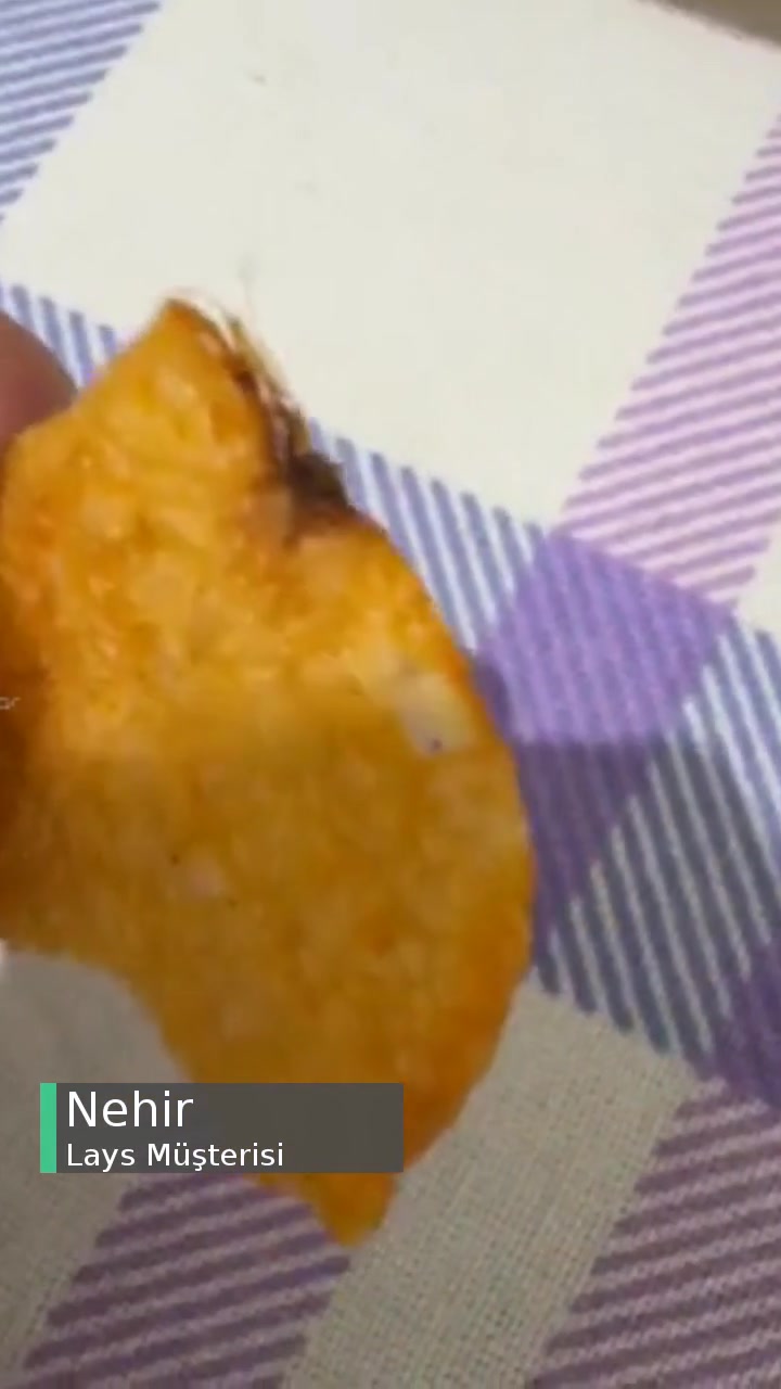 Lays Bu Böcek Cipse Yapışmış Ve Öyle Pişmiş! videonun kapak resmi