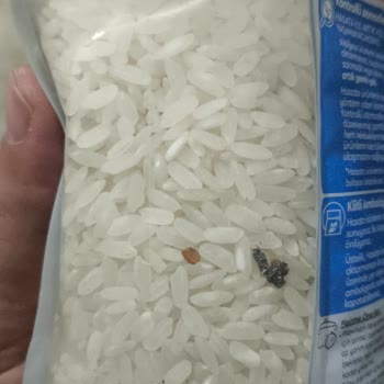 Hasata Pirincinde Siyah Yabancı Cisim Ve Geri Dönüş Sorunu