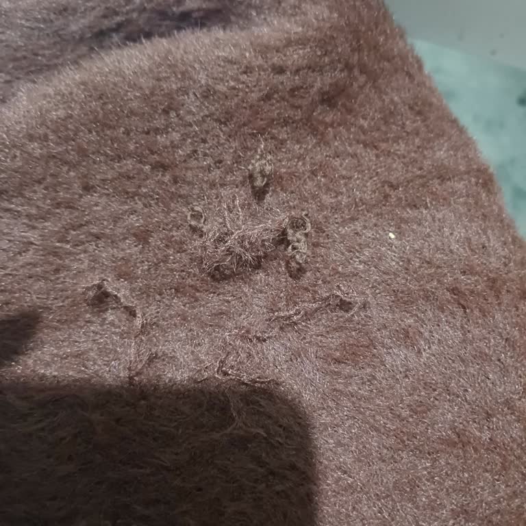 Paul Mark'tan Hırka Üzerindeki Sökük Nedeniyle Değişim Talebi