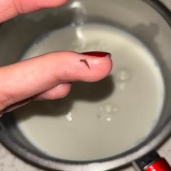 Dost Yağlı Süt’te Görülen Siyah Böcek Parçacıkları Gıda Güvenliğini Tehdit Ediyor