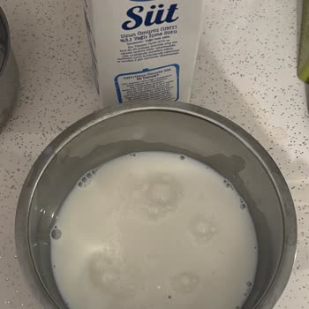 Dost Yağlı Süt’te Görülen Siyah Böcek Parçacıkları Gıda Güvenliğini Tehdit Ediyor