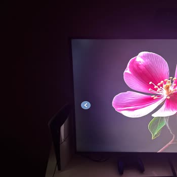 Ölü Piksel Sorunu Ve Yetersiz Müşteri Desteği Nedeniyle Ürün Değişimi Talebi