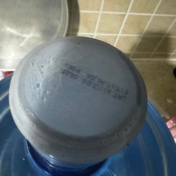 İdeal Damacana Suyunda Böcek: Hijyen İhlali Ve Güvenlik Endişesi