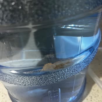 İdeal Damacana Suyunda Böcek: Hijyen İhlali Ve Güvenlik Endişesi