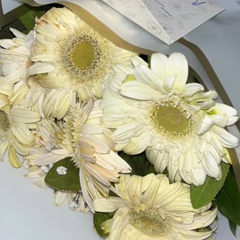 Soluk Ve Özensiz Çiçek Teslimatı İçin İade Talebi