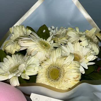 Soluk Ve Özensiz Çiçek Teslimatı İçin İade Talebi