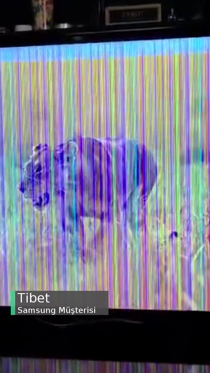 Samsung TV Kronik Panel Arızası videonun kapak resmi