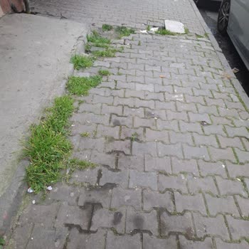 İBB Fen İşleri Kaldırım Çalışması Sonrası Yağmur Suyu Daireye Girişi Ve Acil Düzeltme Talebi