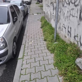 İBB Fen İşleri Kaldırım Çalışması Sonrası Yağmur Suyu Daireye Girişi Ve Acil Düzeltme Talebi