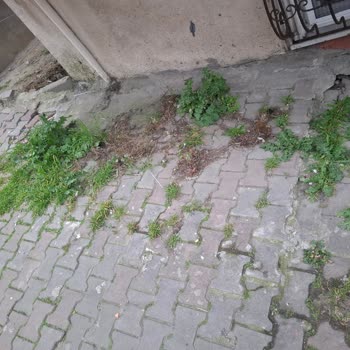 İBB Fen İşleri Kaldırım Çalışması Sonrası Yağmur Suyu Daireye Girişi Ve Acil Düzeltme Talebi