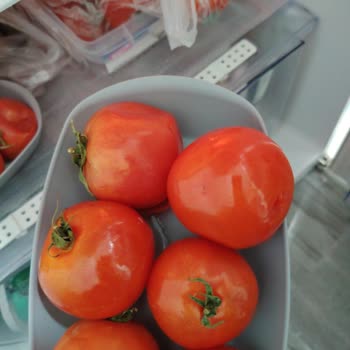 Sebzeler Çürük Geldi Ve Provizyon İadesi Belirsiz