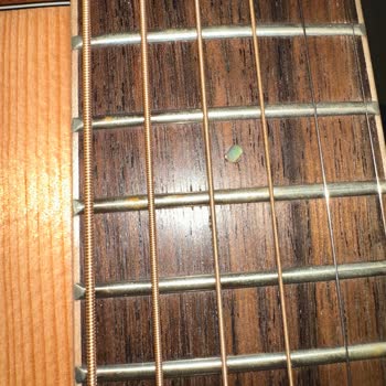 Takamine Gitarımda Kısa Sürede Paslanma Ve Değişim Talebi