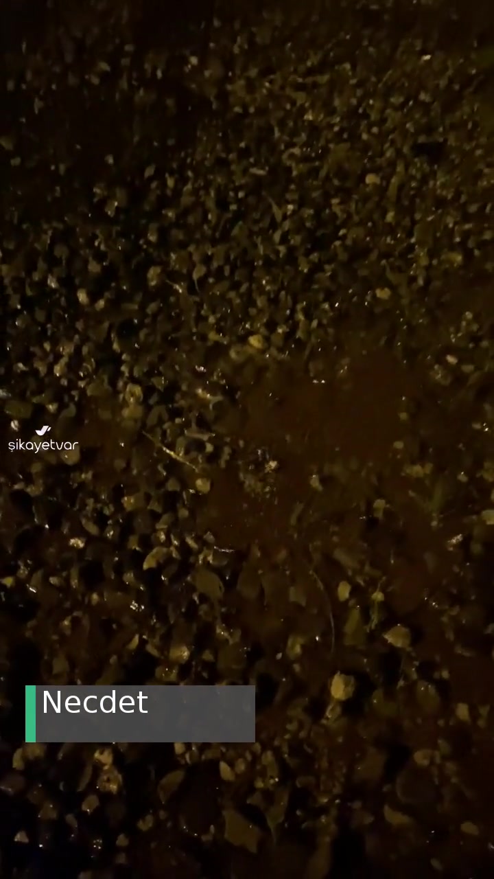 Antalya Büyükşehir Belediyesi Asat Temiz İçme Suyu Arızasına Müdahale Etmiyor! videonun kapak resmi