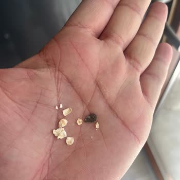 Lifalif Yulaf Ezmesindeki Siyah Parçalar Güveni Ve Sağlığı Tehdit Ediyor