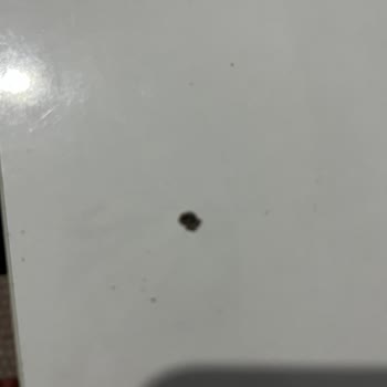 Lifalif Yulaf Ezmesindeki Siyah Parçalar Güveni Ve Sağlığı Tehdit Ediyor