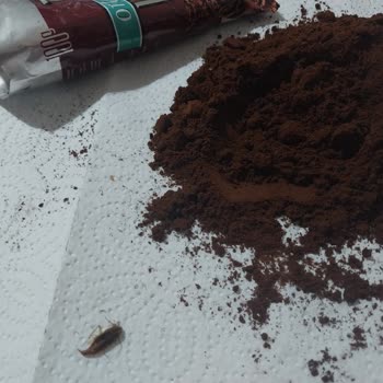 Kahve Dünyası Türk Kahvesinde Böcek: Sağlık Ve Hijyen Endişesi