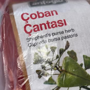 Arifoğlu Böceklenmiş Çoban Çantası Hijyen Sorunu