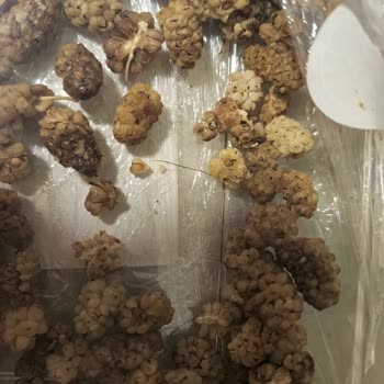 Dut Kurusunda Kıl: Carrefour Hijyen Skandalı