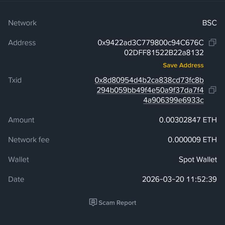 Ethereum Transferi Hesaba Yansımıyor