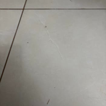 Dreame X50 Ultra Temizlemiyor