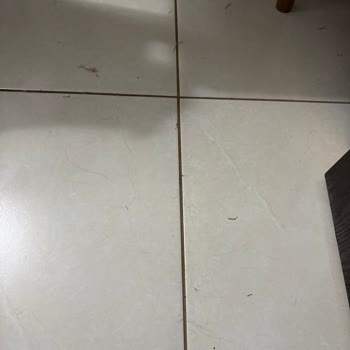 Dreame X50 Ultra Temizlemiyor