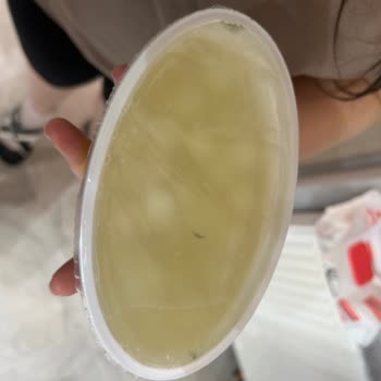 Ekici Peynir Peyniri Açtığımda İç Kısmında Küf Olduğunu Fark Ettim