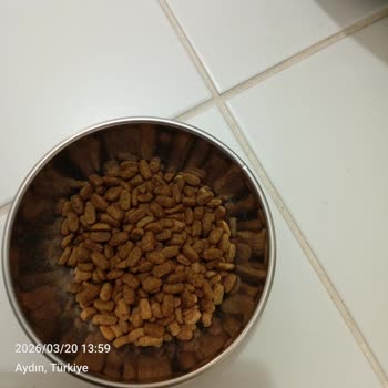 Pet Merkezi Satın Alınan Pro Plan Mama Sahte, Renk Ve Ambalaj Farklı, Kedim Yemedi