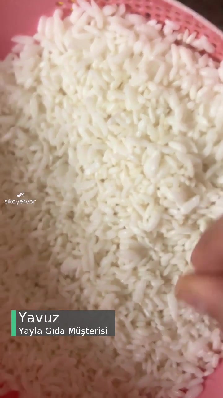 Yayla Pirinci Lapa Oluyor videonun kapak resmi