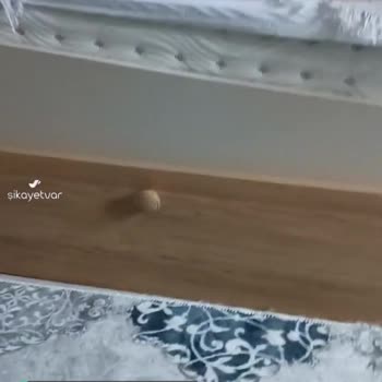 Konfor Mobilya Ürünüm İçin Arıza Bildirimi