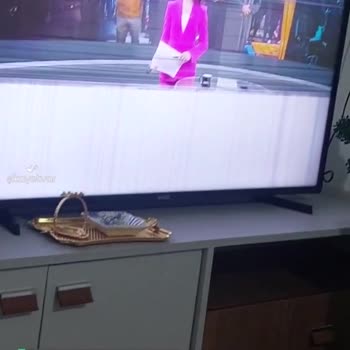 Vestel Ekran Sorunu