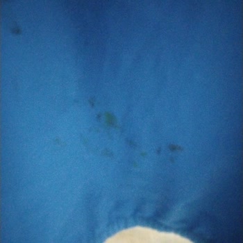 Lacoste Eşofman Üstündeki Baskı Yıkamada Yerinden Çıktı Ve Boyandı