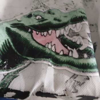 Lacoste Eşofman Üstündeki Baskı Yıkamada Yerinden Çıktı Ve Boyandı